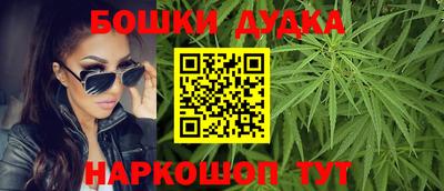 МДПВ Лесосибирск