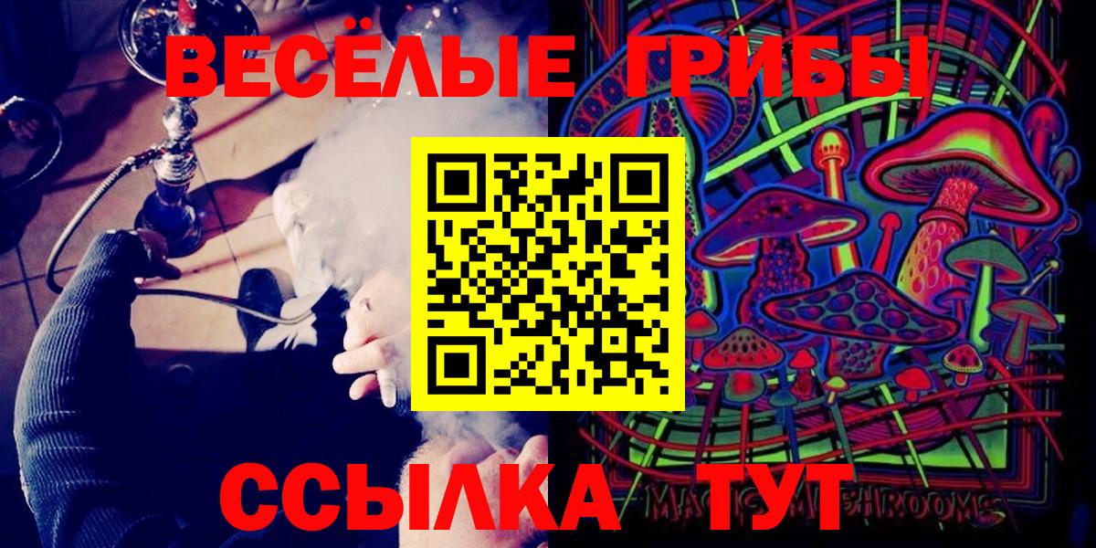 Галлюциногенные грибы Cubensis Калач-на-Дону