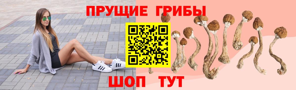 Псилоцибиновые грибы мицелий  Вход с VPN  Калач-на-Дону  Галлюциногенные грибы мицелий 