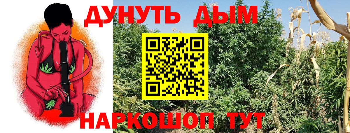 Марихуана OG Kush Калач-на-Дону